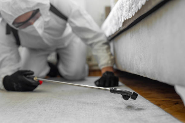Professional Bed Bug Control technician working in Omaha, TX