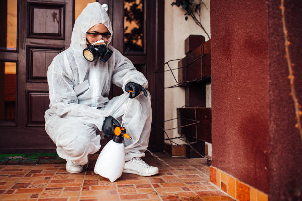 Reliable Bed Bug Control contractor in Omaha, TX by Nex Pest Control
