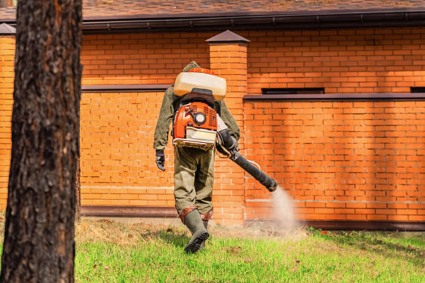 Top rated local Bed Bug Control specialists in Omaha, TX